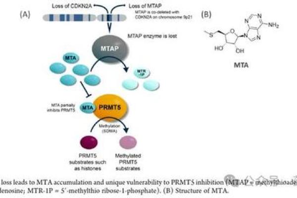1973水牛命的命理解读及其缺失之物