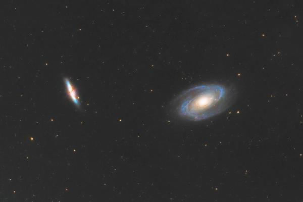 根据什么生肖就决定什么命，探寻人生的奥秘与未来的可能性