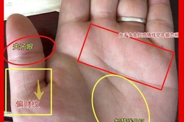 探秘星座命盘：定命点如何影响人生走向？