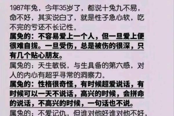 1963年属兔人的命运与人生智慧探讨