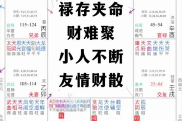 1978兔年命运解析：性格、职业与未来机会全面分析