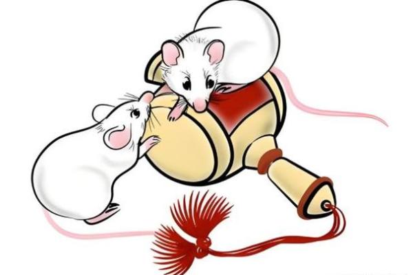 29岁属什么生肖什么命？解密命运与成功之道！