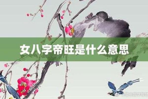 探寻没财运的命格：命理揭秘与转运之道