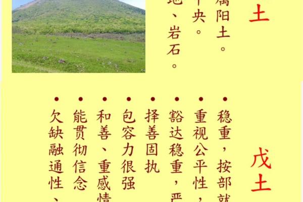 命理解析：四个金的命理特征与生活智慧