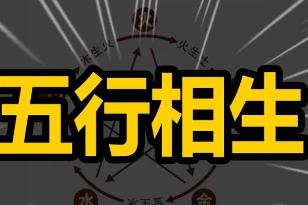 7171猪，五行相生，命理解析与人生启示