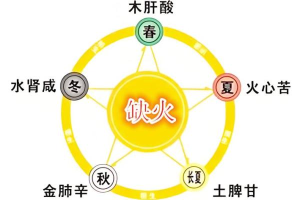 火命与木命家庭风水禁忌解析，提升家居和谐的秘诀