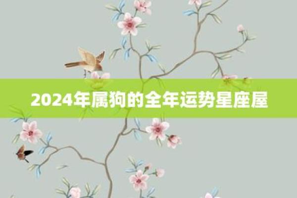 属狗大海水命之人命里缺什么？探寻命运与修行的密切关系