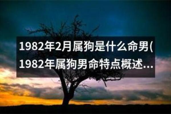 1982年属狗的命运分析:性格特征与运势解析 1982年属狗的命运分析:性格特征与运势解析