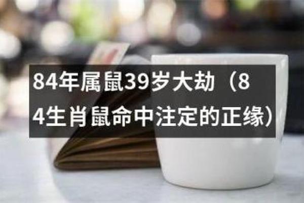 1996年是白鼠年，解密属鼠人的性格与命运