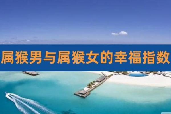 属猴金命与哪些命最为匹配？探秘最优良的配对组合！