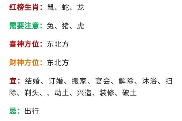 2023年属相与命理：揭秘兔年带来的运势和命运变化