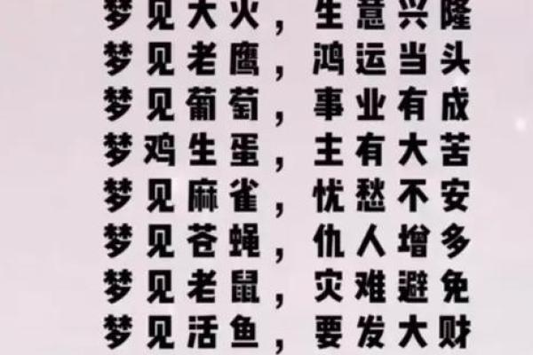 命运与运势：探寻人生的玄机与方向