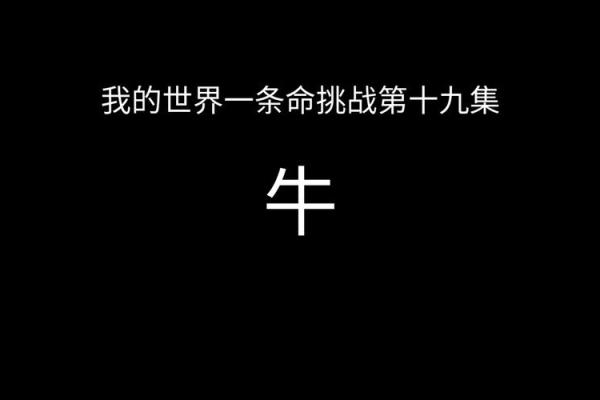 11月牛命解析：探寻牛年出生者的命运与运势