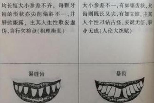 命理奥秘：如何通过面相解读财富与成功的秘密
