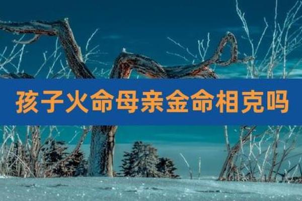 金命与火命：寻找最适合的吉祥物，助您运势飙升！
