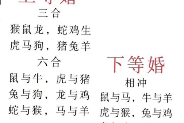 1961年属什么命？揭秘这一年的独特命理与人生智慧！