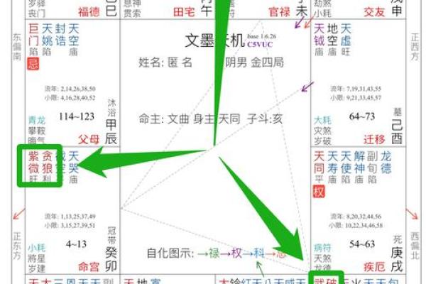 有小腹的女生命运解析:从外貌到内心的深度解读 有小腹的女生命运解析:从外貌到内心的深度解读