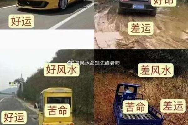 1991年出生的男性,三元命解析与人生启示 1991年出生的男性,三元命解析与人生启示