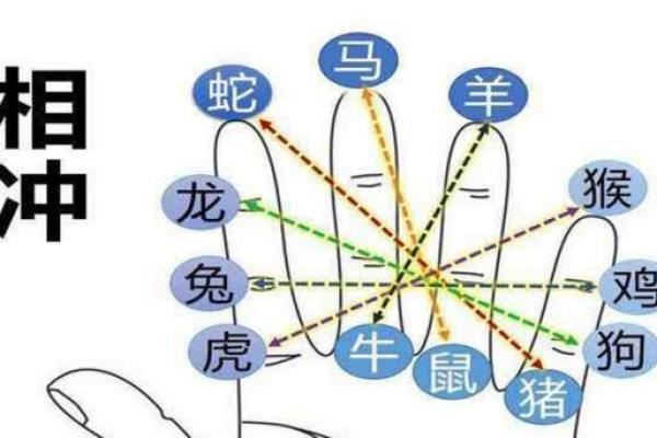 1947年出生的人属什么生肖与命理解析 1947年出生的人属什么生肖与命理解析