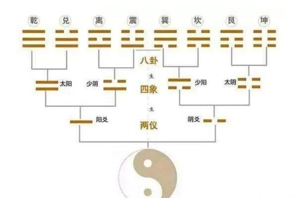 通过脚掌纹解密命运:你不可不知道的卦象与人生 通过脚掌纹解密命运:你不可不知道的卦象与人生