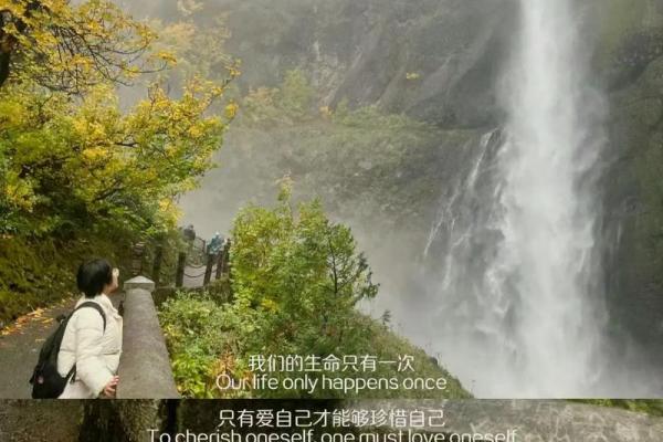 有什么命就过什么日子：拥抱生活的真谛