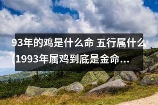 1977年属鸡的人生特征与命运解析：机遇与挑战并存的精彩人生