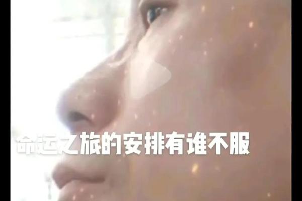 探秘1981年正月十五的命运之旅：命理与人生的交汇
