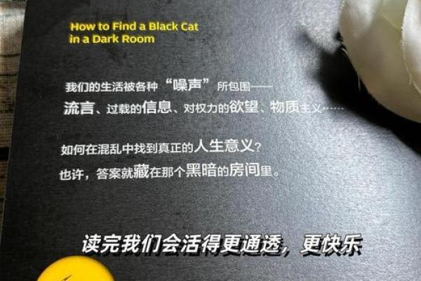 根据什么会什么,探索命运的奇妙法则 根据什么会什么,探索命运的奇妙法则