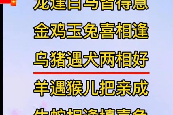 探寻命理：木猪火命的最佳搭配与人生方向