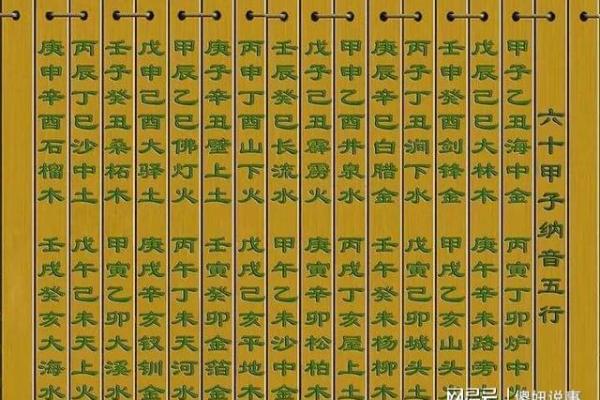 探寻命理：木猪火命的最佳搭配与人生方向