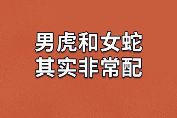 1974年属虎的命运解析:勇猛与智慧的结合 1974年属虎的命运解析:勇猛与智慧的结合