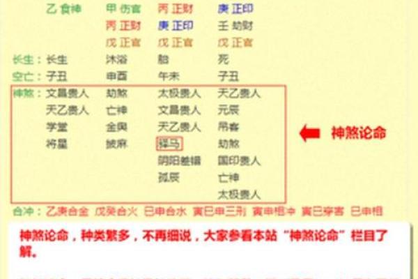 探秘命理：日元在八字命理中的重要性与影响力