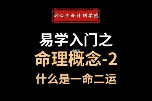 什么命就有什么运,掌握命理,开启人生新篇章! 什么命就有什么运,掌握命理,开启人生新篇章!