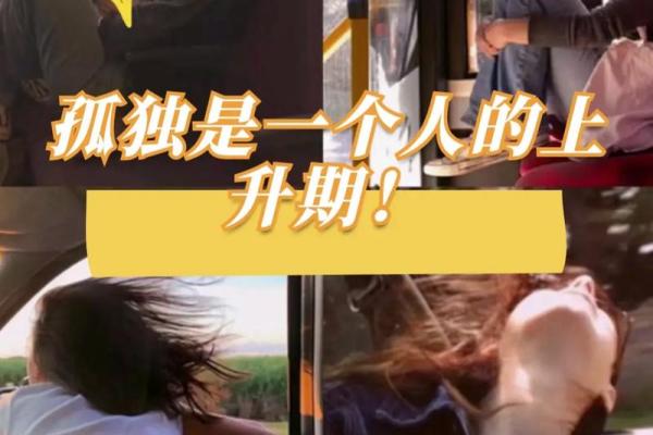解读19940929出生者的命理与人生之路 解读19940929出生者的命理与人生之路