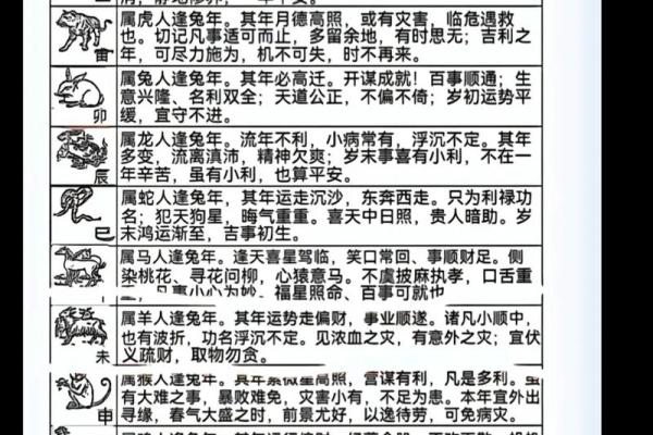 2023兔年出生的宝宝，命理解析与未来运势展望