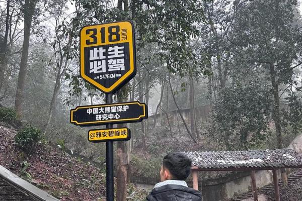 壬午日柱男命解析：命格特点与人生之路的探索