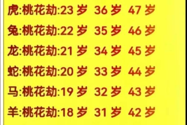 2023兔年出生的宝宝，命理解析与未来运势展望