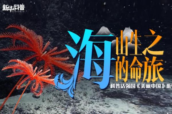 杨柳木命:那些与春风相伴的生命之旅 杨柳木命:那些与春风相伴的生命之旅