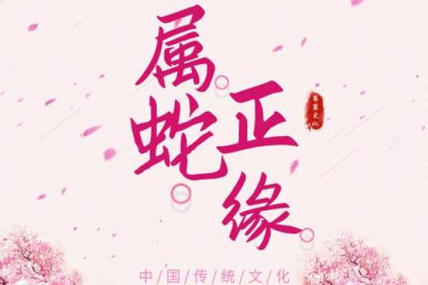 探寻1984年的火命之旅：生肖与命理的奥秘