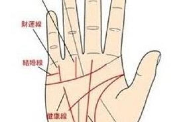 解密手纹：从指纹看出你的命格与未来