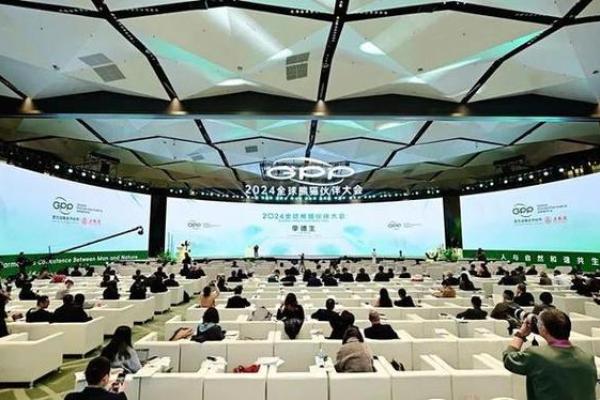 癸水命与最合适的命格搭配:探寻人生的和谐之路 癸水命与最合适的命格搭配:探寻人生的和谐之路