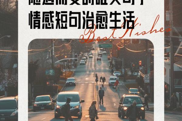 命运如风，随心而动，掌握生活的情感力量