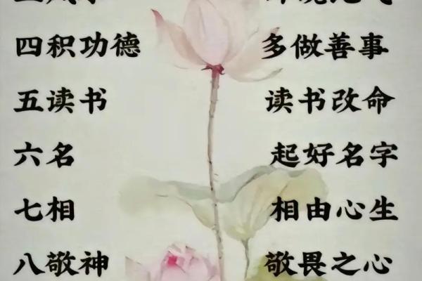 2019年纳音命理解析：八字的智慧与人生的启示