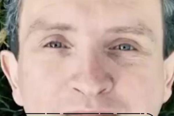 温情脉脉，命运相依——探索人生的温暖与希望