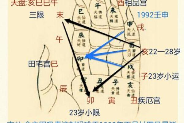 壬申日柱命的独特魅力与人生追求探秘