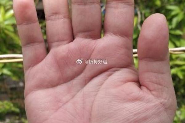 一九六零年出生的你，命运与性格的秘密大揭秘！