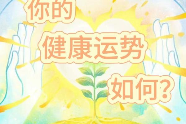 水命者如何选择木元素饰品，提升运势与健康
