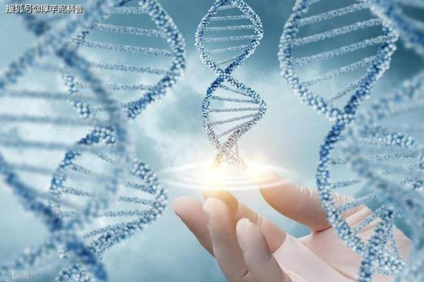 命书解读：揭示命主人生轨迹的深层秘密