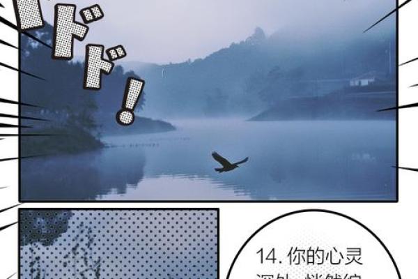 19920829出生的人命运与性格解析：探索生命的奥秘与智慧