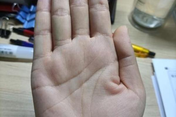 20040203命理分析：探寻命中注定的奥秘与人生智慧